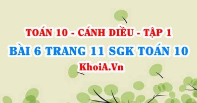 Bài 6 trang 11 SGK Toán 10 tập 1 Cánh Diều